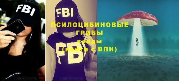 синтетический гашиш Белокуриха