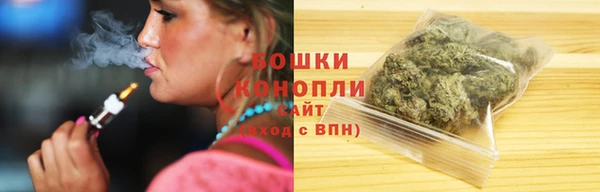 прущие грибы Белоозёрский