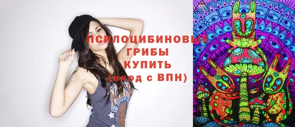 ПСИЛОЦИБИНОВЫЕ ГРИБЫ Богородск