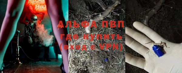 ПСИЛОЦИБИНОВЫЕ ГРИБЫ Богородск