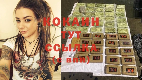прущие грибы Белоозёрский
