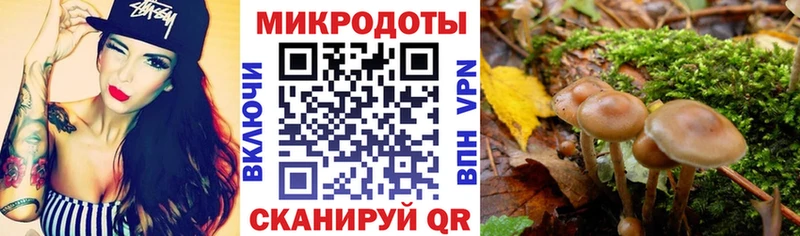 Галлюциногенные грибы прущие грибы  Купить закладки  Котово 
